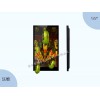 濱州 濟(jì)南 曲阜 兗州 章丘 壽光 棲霞三星液晶屏廣告機