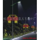 供應(yīng)LED燈桿燈光造型燈 雙向食人魚