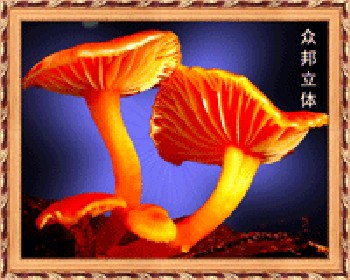 立體印刷