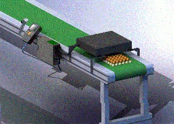 小霸王雞蛋噴碼機，ANSER蛋品噴碼機