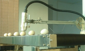 雞蛋噴碼機(jī)/半自動(dòng)噴碼機(jī)/食品噴碼機(jī)
