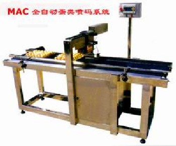 全自動(dòng)噴碼機(jī)/雞蛋噴碼機(jī)/食品噴碼機(jī)